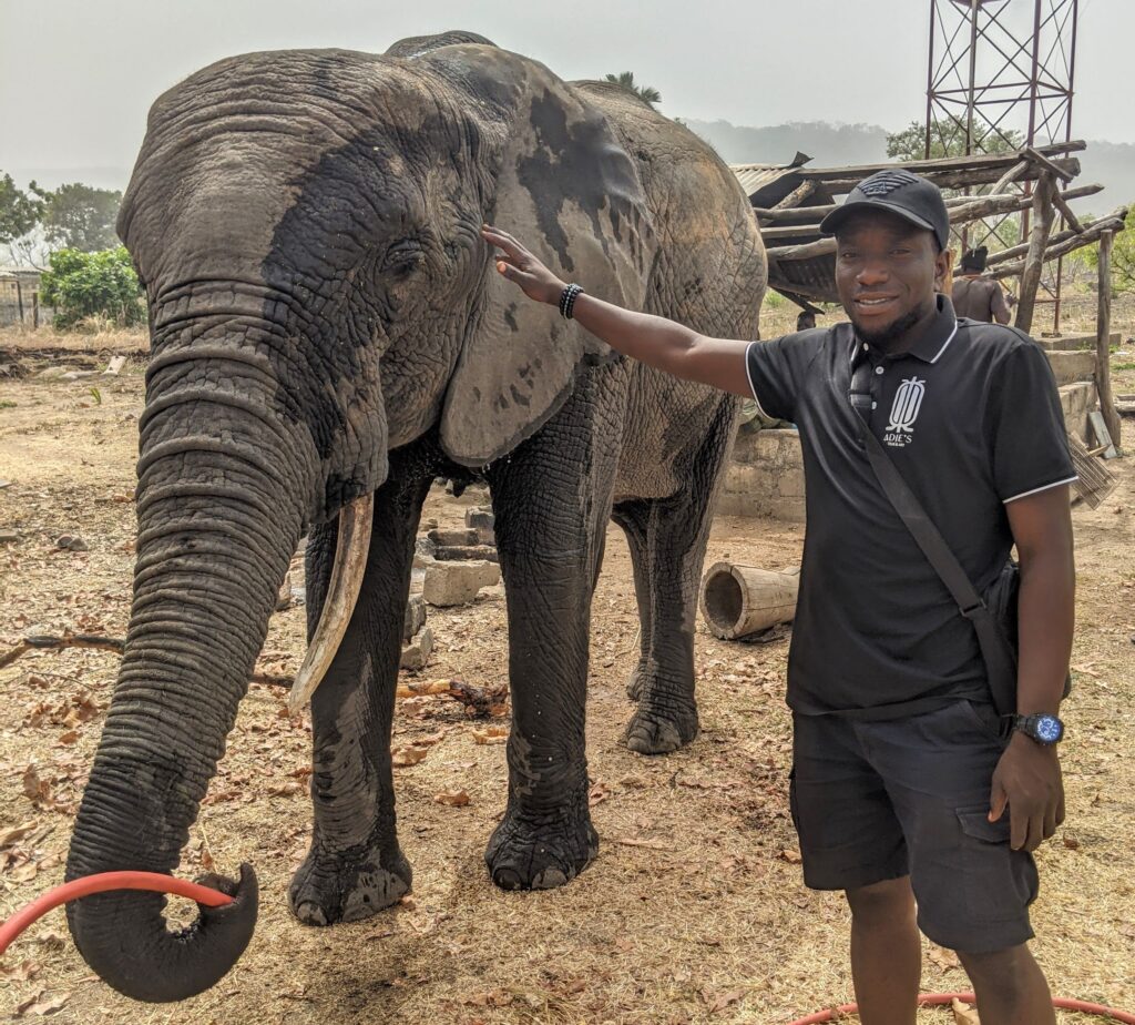 Parc des éléphants